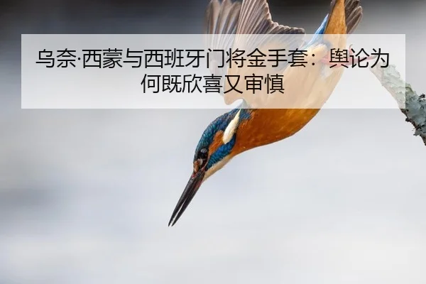乌奈·西蒙与西班牙门将金手套：舆论为何既欣喜又审慎
